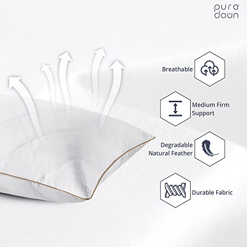 Goose Feathers and Down Pillow Set of 2 King I22759