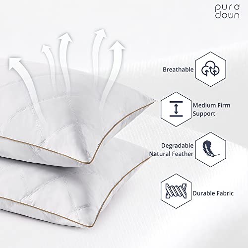 Goose Feathers and Down Pillow Set of 2 King I22759