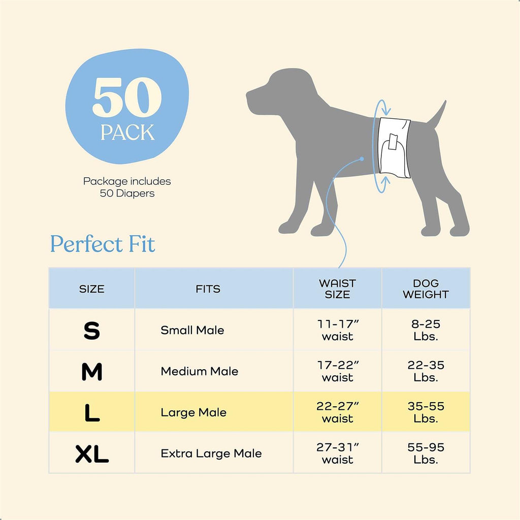 Male Dog Diapers 30-Pack Super Absorbent Disposable V601