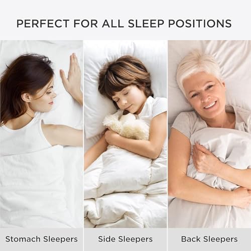 King Size Down Alternative Pillows Set of 2 D8854