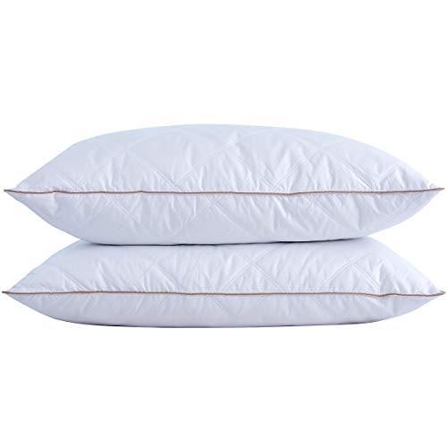 Goose Feathers and Down Pillow Set of 2 King I22759