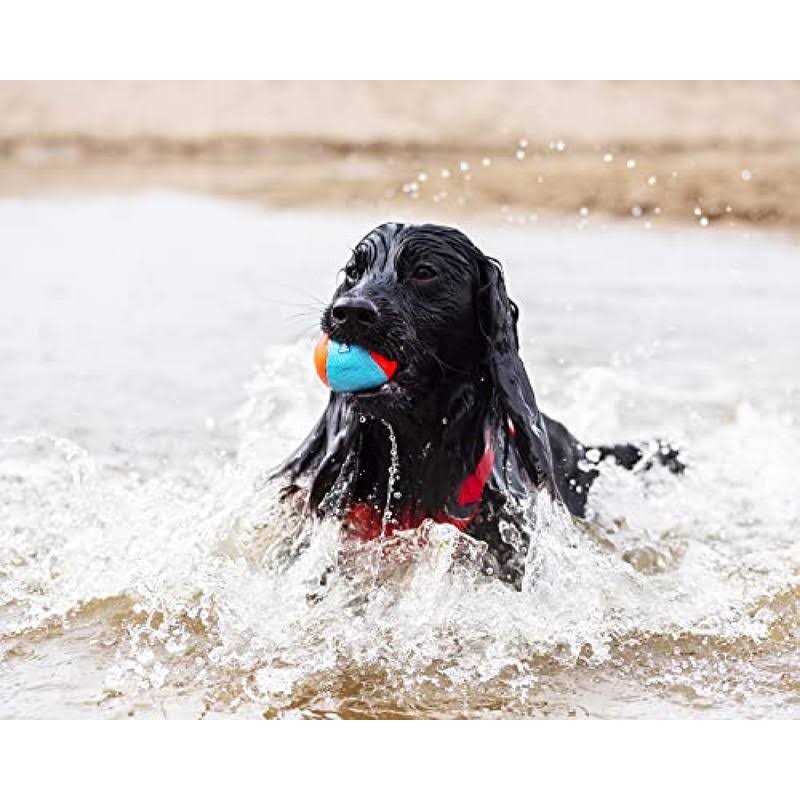 TPR Squeak Ball H250581