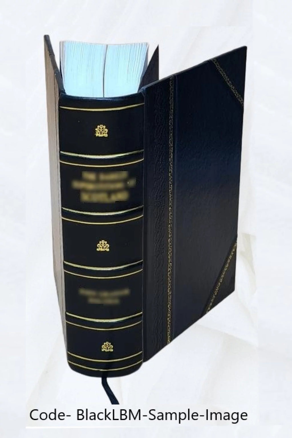 1920 Census Population Schedules Illinois Leather Bound H537328