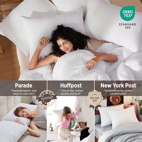 King Size Down Alternative Pillows Set of 2 D8854