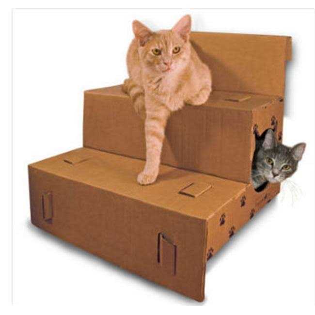 Cat Pet Steps S129646
