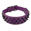 Black Spiked Studded Dog Collar E849689