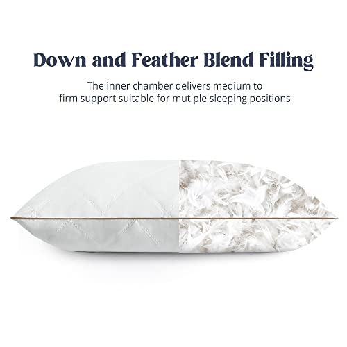 Goose Feathers and Down Pillow Set of 2 King I22759