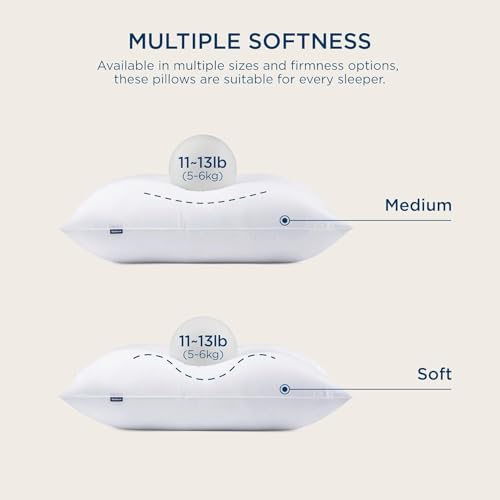 King Size Down Alternative Pillows Set of 2 D8854