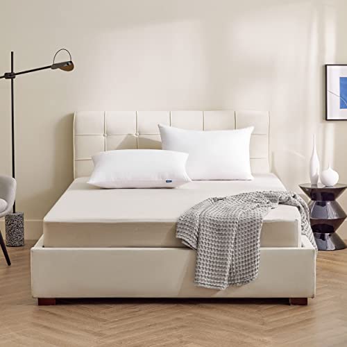 King Size Down Alternative Pillows Set of 2 D8854