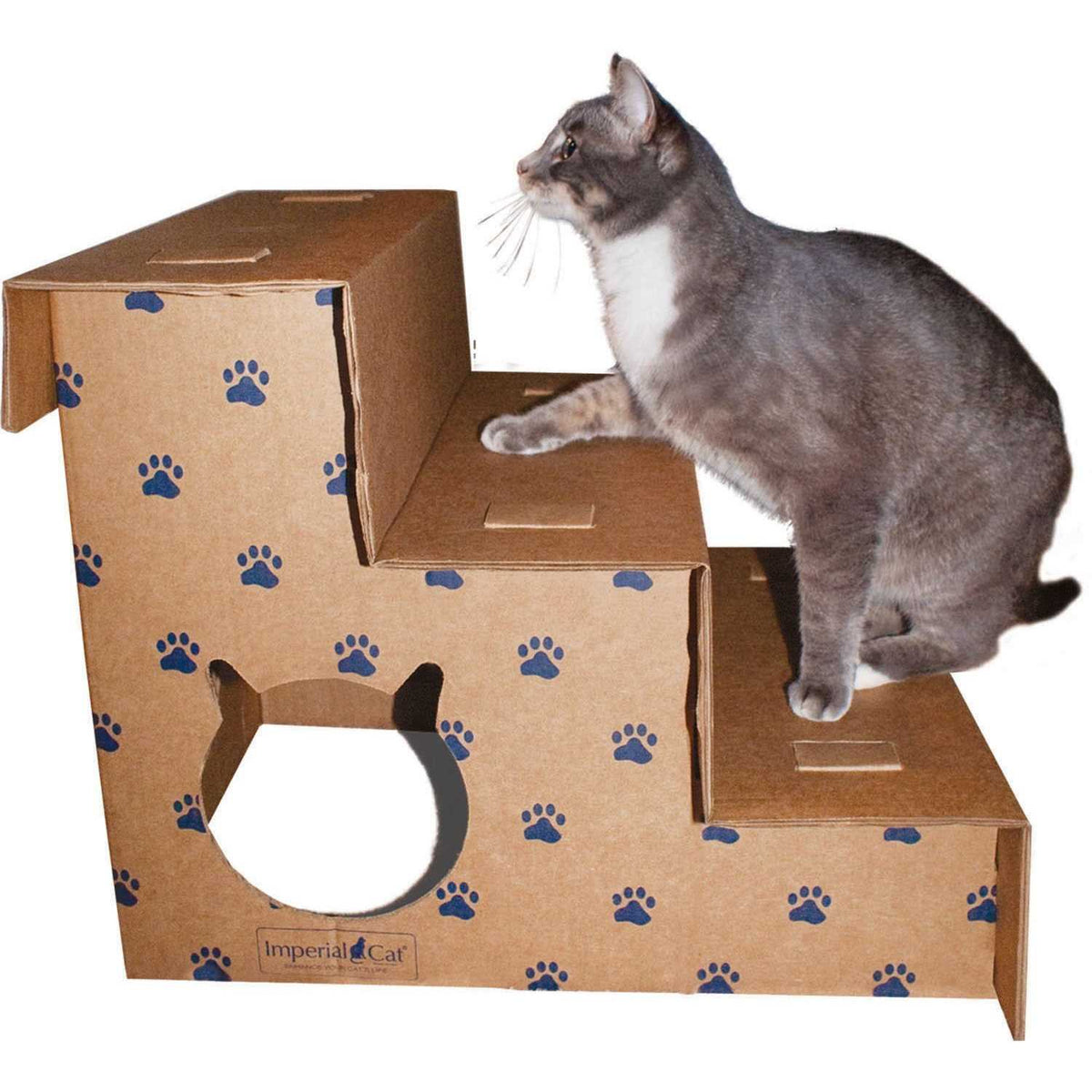 Cat Pet Steps S129646