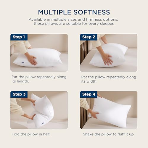 King Size Down Alternative Pillows Set of 2 D8854