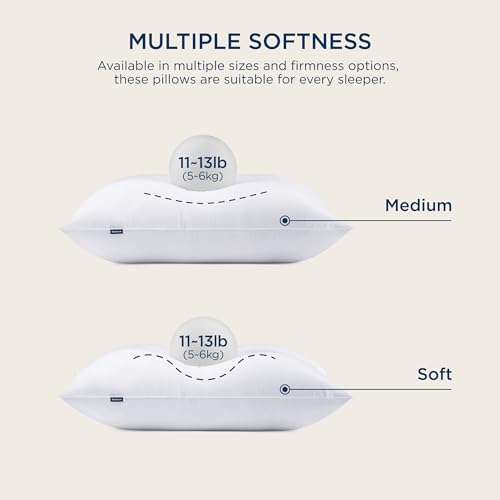 King Size Down Alternative Pillows Set of 2 D8854