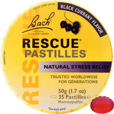 Black Currant Pastilles 50g V127311