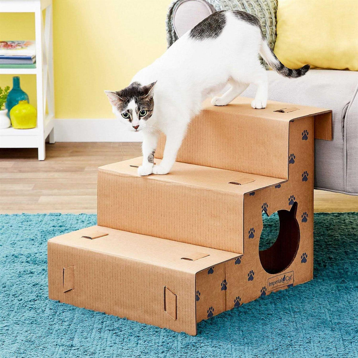 Cat Pet Steps S129646
