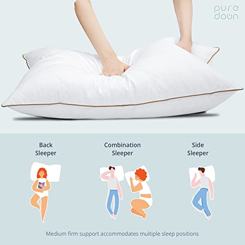 Goose Feathers and Down Pillow Set of 2 King I22759