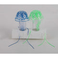Jelly Fish B1285