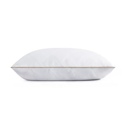 Goose Feathers and Down Pillow Set of 2 King I22759