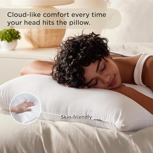 King Size Down Alternative Pillows Set of 2 D8854